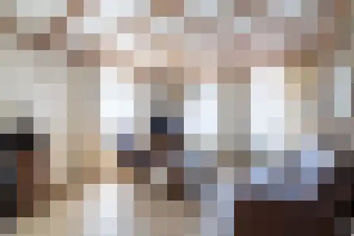 Ittervoorterweg 111 Weert thumbnail 9