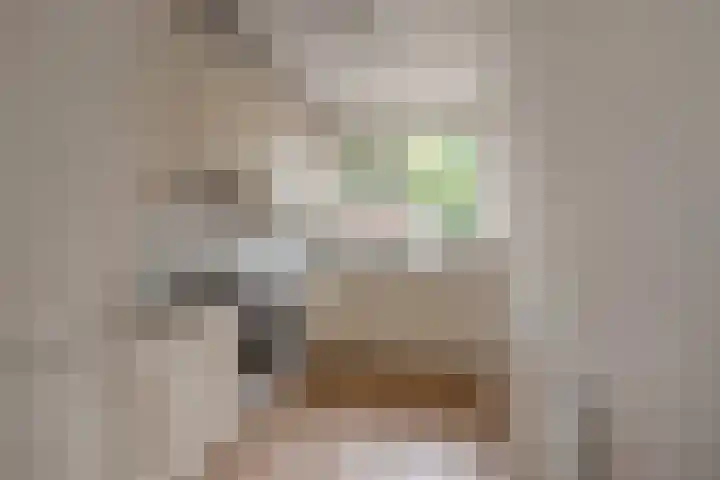 Ivanovschouw 3 Zoetermeer thumbnail 14