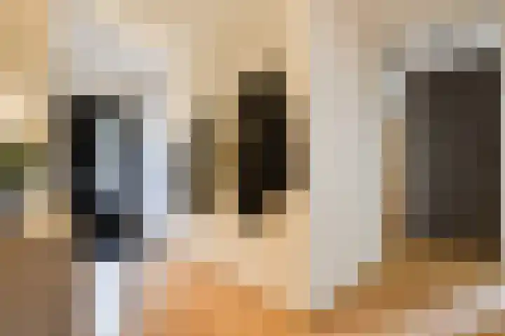 Ivanovschouw 3 Zoetermeer thumbnail 25