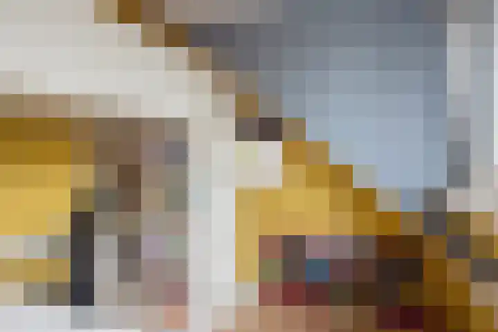 Ivanovschouw 3 Zoetermeer thumbnail 28