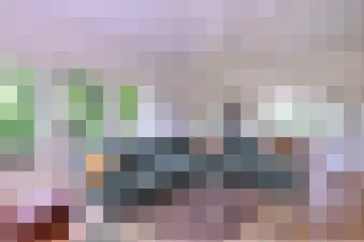 Ivanovschouw 3 Zoetermeer thumbnail 29