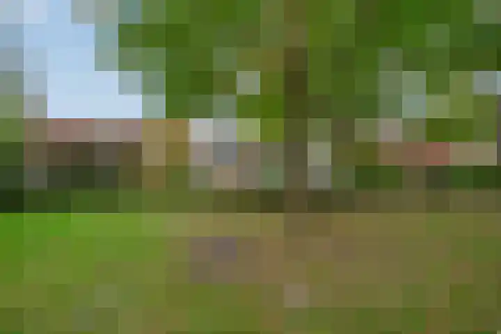 Ivanovschouw 3 Zoetermeer thumbnail 36
