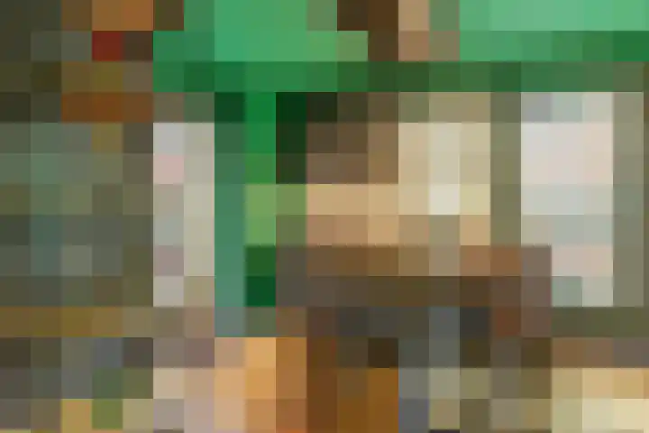 Iwanhof 9 Rotterdam thumbnail 11