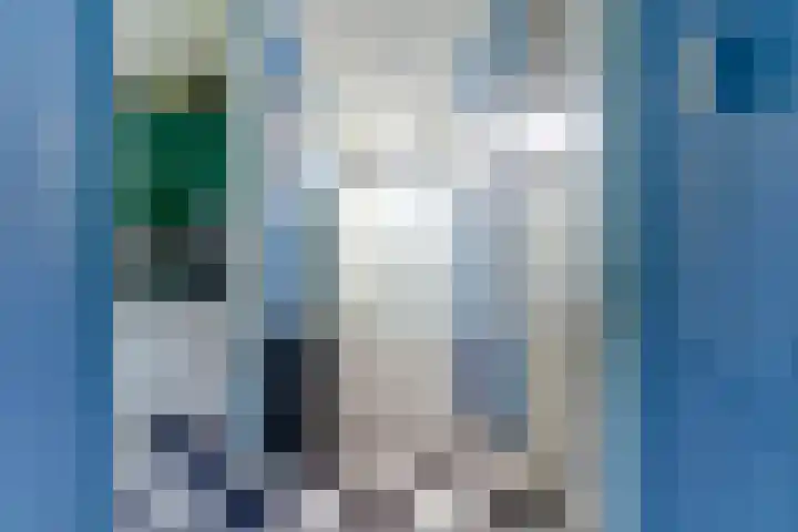 Iwanhof 9 Rotterdam thumbnail 14