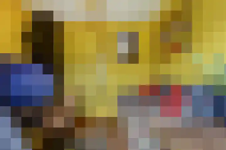 Iwanhof 9 Rotterdam thumbnail 19