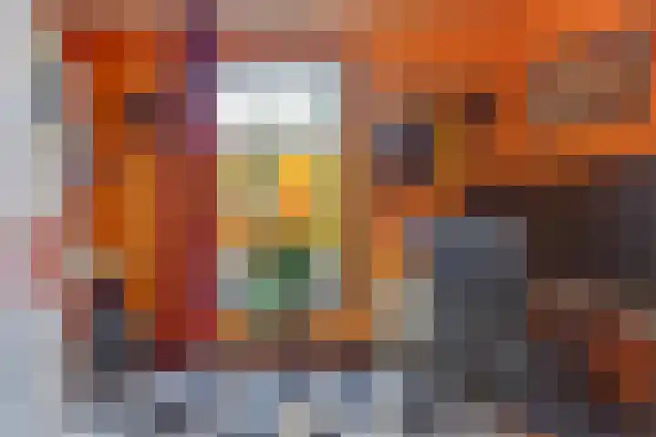 Iwanhof 9 Rotterdam thumbnail 23