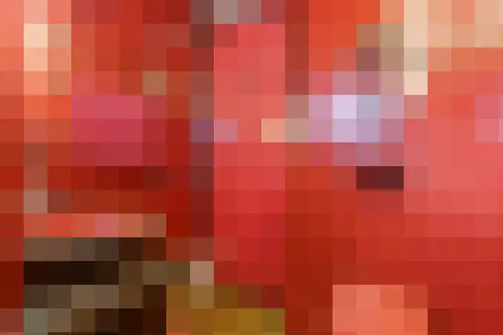 Iwanhof 9 Rotterdam thumbnail 27