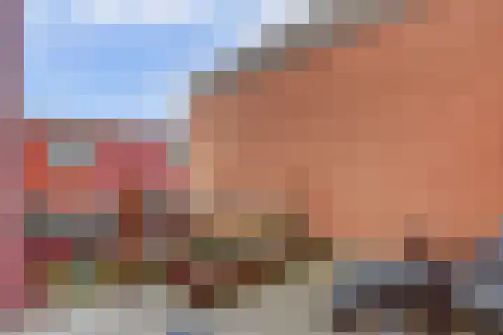 Iwanhof 9 Rotterdam thumbnail 30