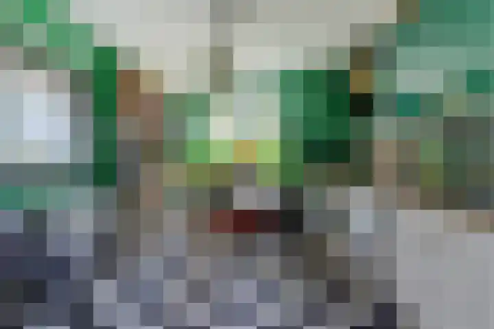Iwanhof 9 Rotterdam thumbnail 8