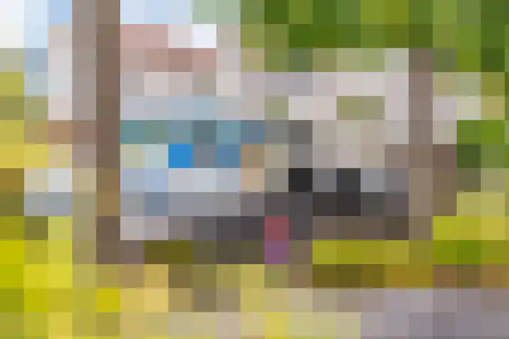 Izeren Helling 1 IJlst thumbnail 40