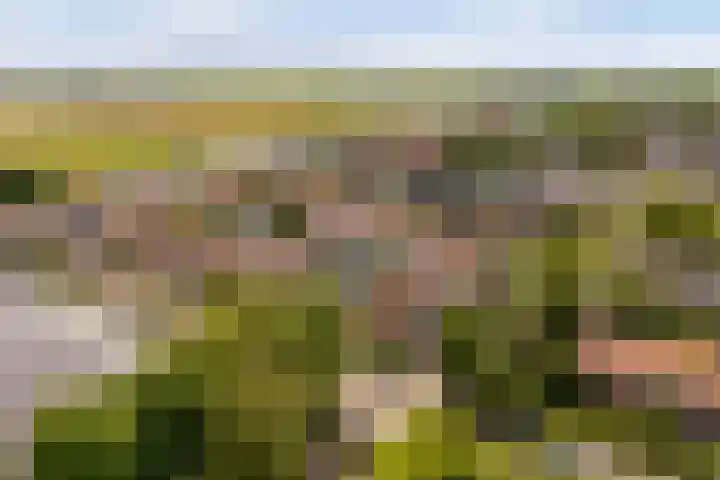 Izeren Helling 1 IJlst thumbnail 58