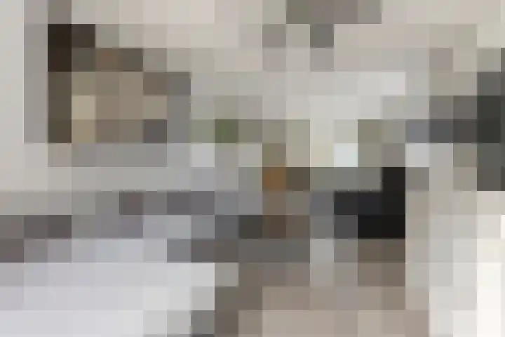 J.B. Bakemaweg 20 Almere thumbnail 7