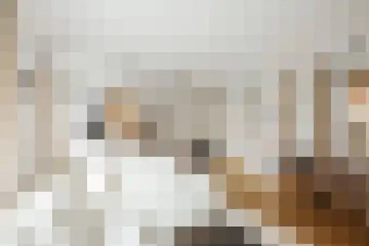 J.H. Pannekoekpad 14 Deventer thumbnail 10