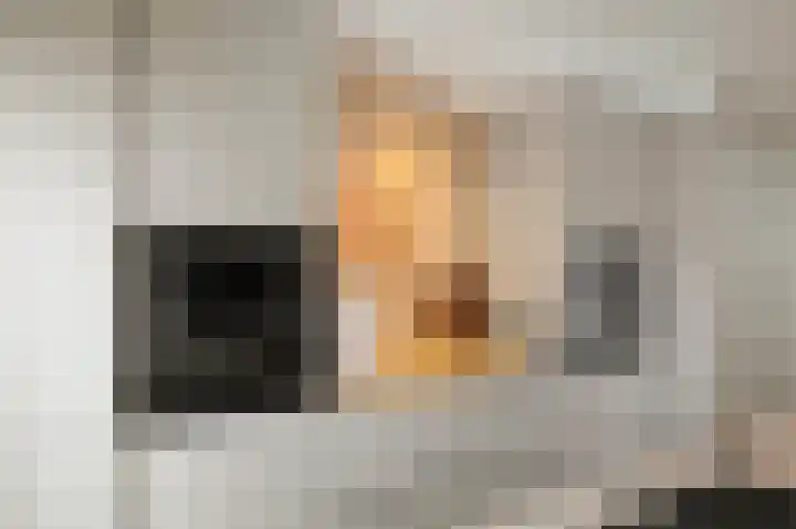 J.H. Pannekoekpad 14 Deventer thumbnail 12