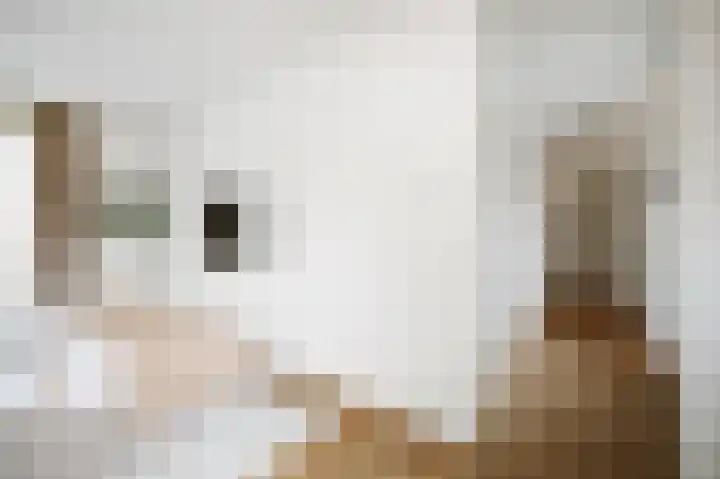 J.H. Pannekoekpad 14 Deventer thumbnail 22