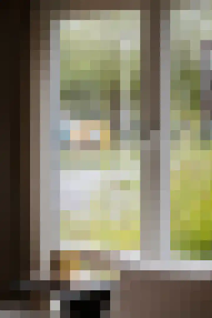 J.H. Pannekoekpad 14 Deventer thumbnail 35