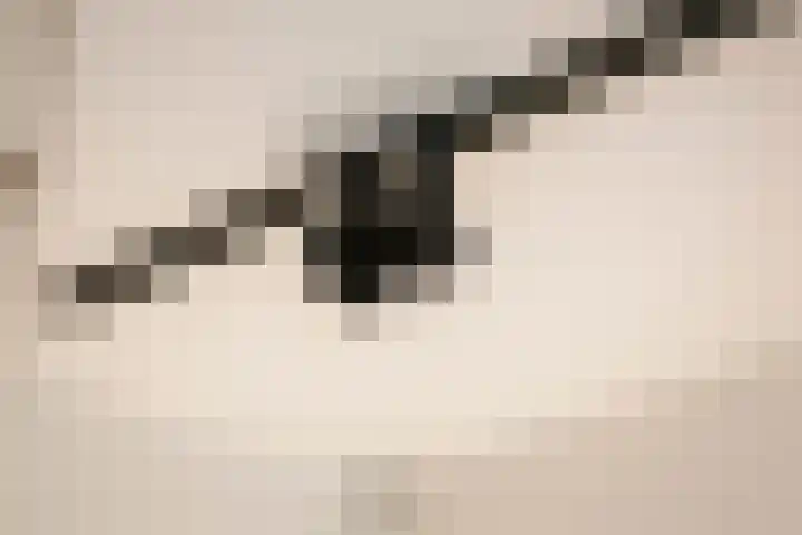 J.H. Pannekoekpad 14 Deventer thumbnail 5