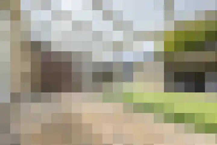 J.J. de Vlamstraat 48 Best thumbnail 31