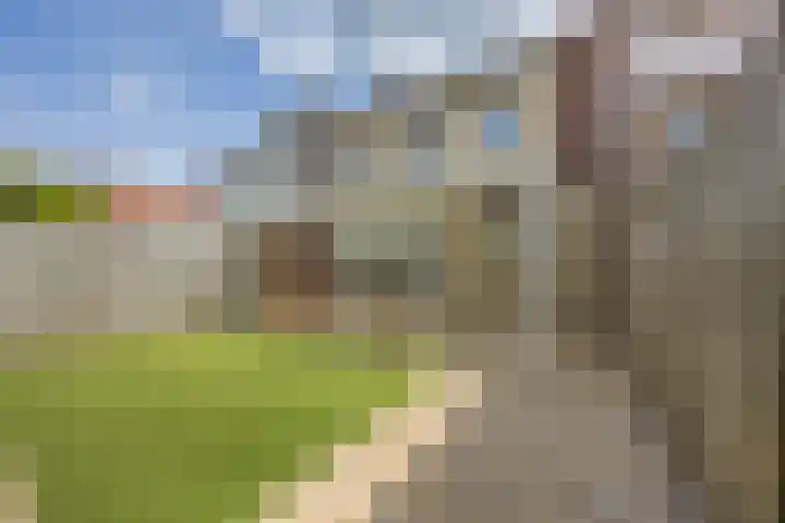 J.J. de Vlamstraat 48 Best thumbnail 36
