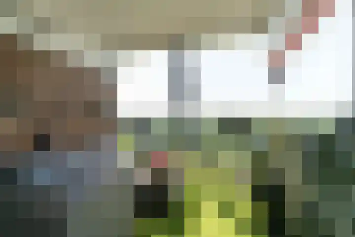 J.J. Slauerhofflaan 177 Delft thumbnail 21
