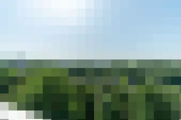 J.J. Slauerhofflaan 177 Delft thumbnail 22