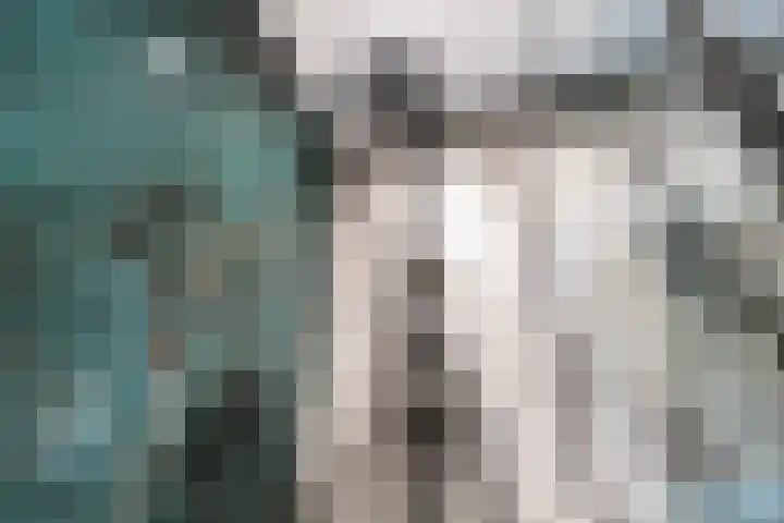 J.J. Slauerhofflaan 47 Delft thumbnail 35