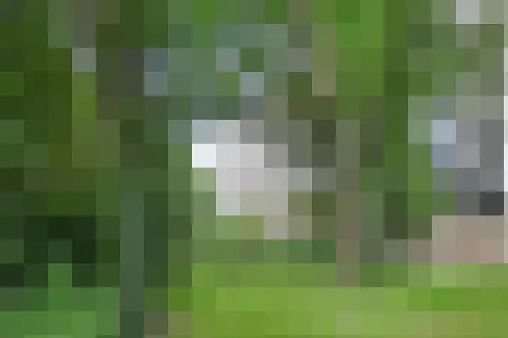 J.J. Slauerhofflaan 67 Delft thumbnail 34