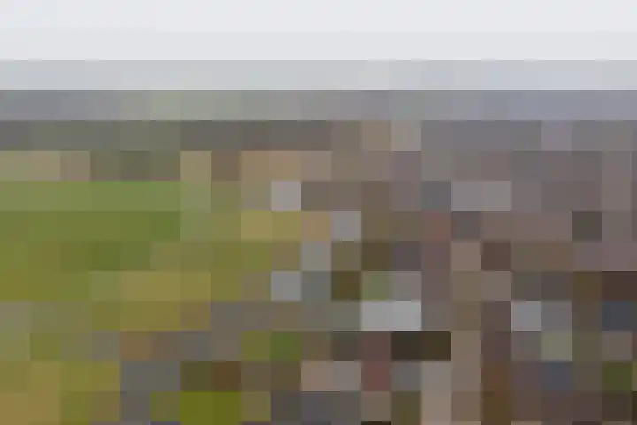 Jaagband 64 Wognum thumbnail 34