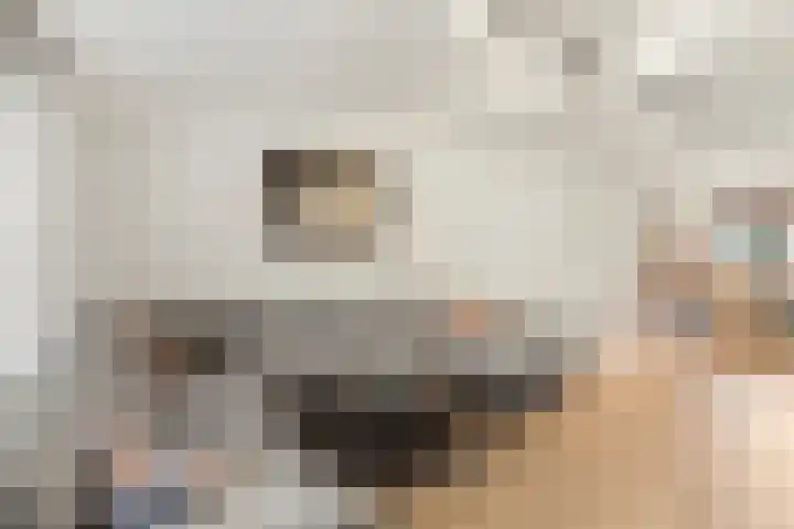 Jaagmeent 22 Almere thumbnail 12