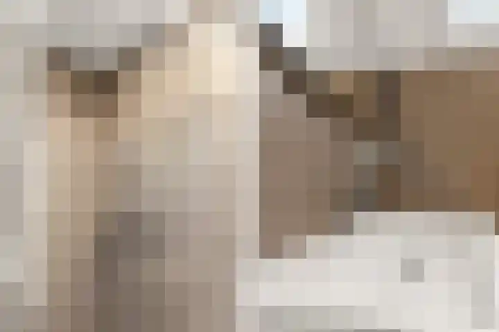 Jaagmeent 22 Almere thumbnail 28