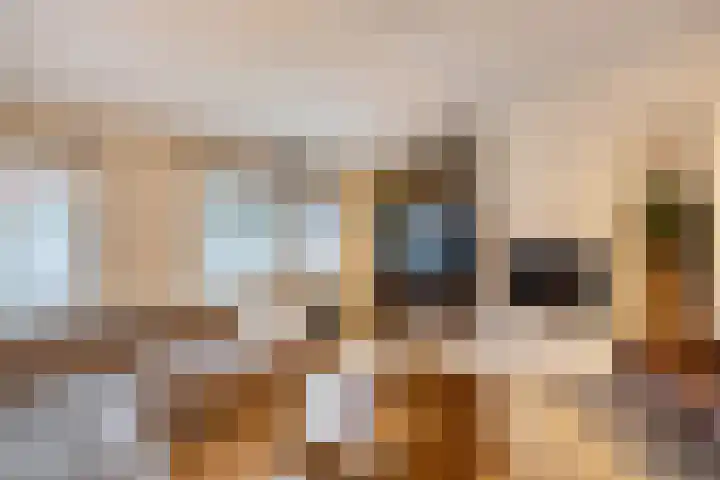 Jaagmeent 97 Almere thumbnail 7