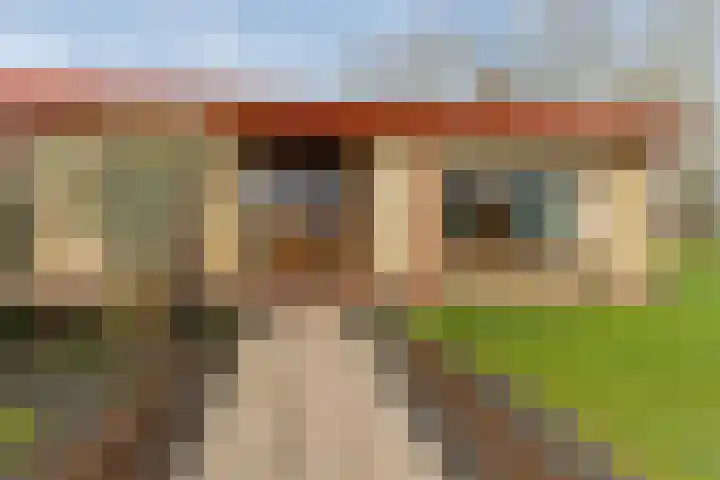 Jaagpad 1 Delfzijl thumbnail 10
