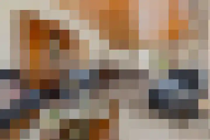 Jaagpad 1 Delfzijl thumbnail 18