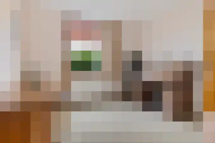 Jaagpad 1 Delfzijl thumbnail 30