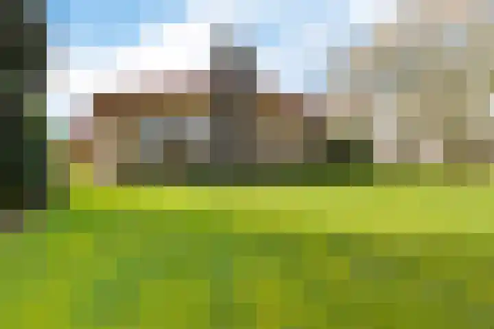 Jaagpad 1 Delfzijl thumbnail 36