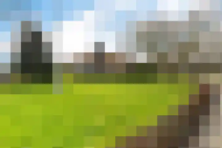 Jaagpad 1 Delfzijl thumbnail 37