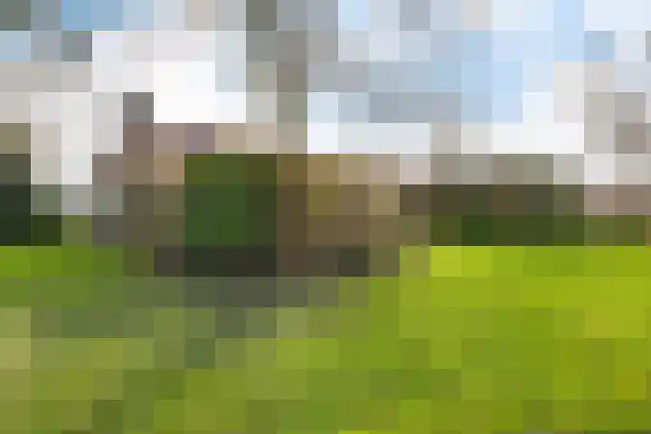 Jaagpad 1 Delfzijl thumbnail 38