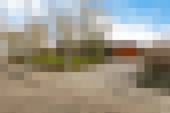 Jaagpad 1 Delfzijl thumbnail 39