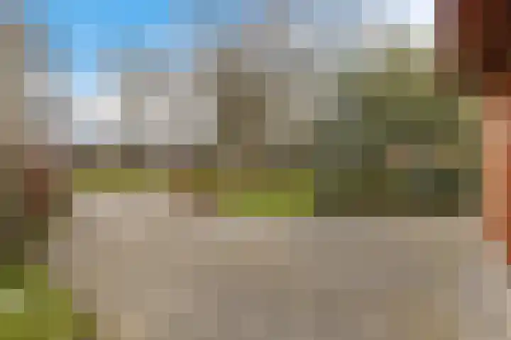 Jaagpad 1 Delfzijl thumbnail 43