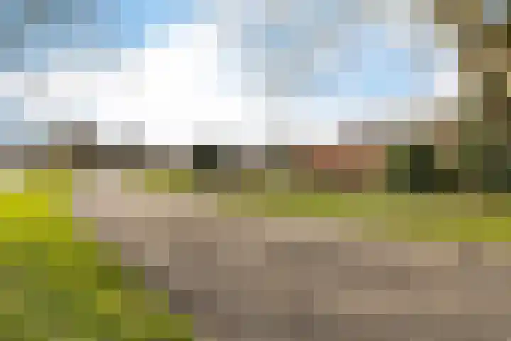 Jaagpad 1 Delfzijl thumbnail 6