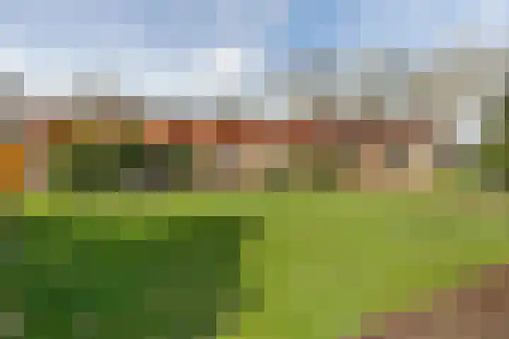Jaagpad 1 Delfzijl thumbnail 8