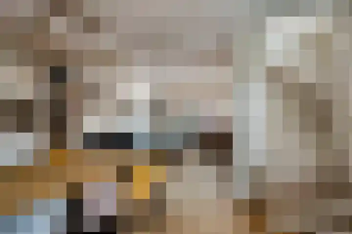 Jaagpad 13 Harmelen thumbnail 12