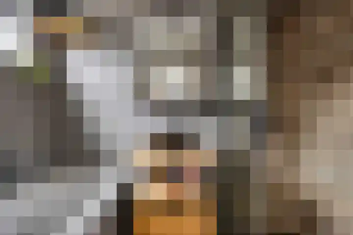 Jaagpad 13 Harmelen thumbnail 13