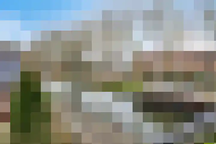 Jaagpad 13 Harmelen thumbnail 22