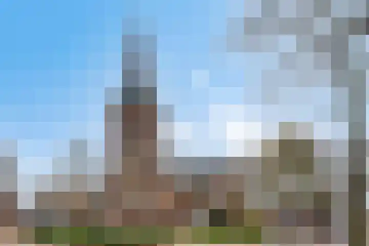 Jaagpad 13 Harmelen thumbnail 32