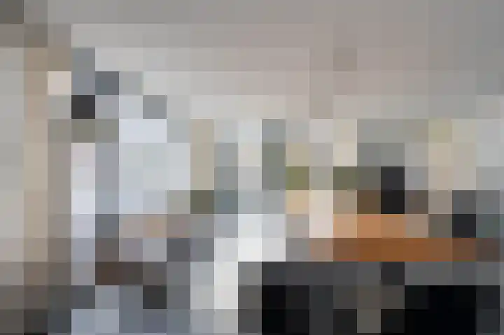 Jaagpad 26 Amsterdam thumbnail 11