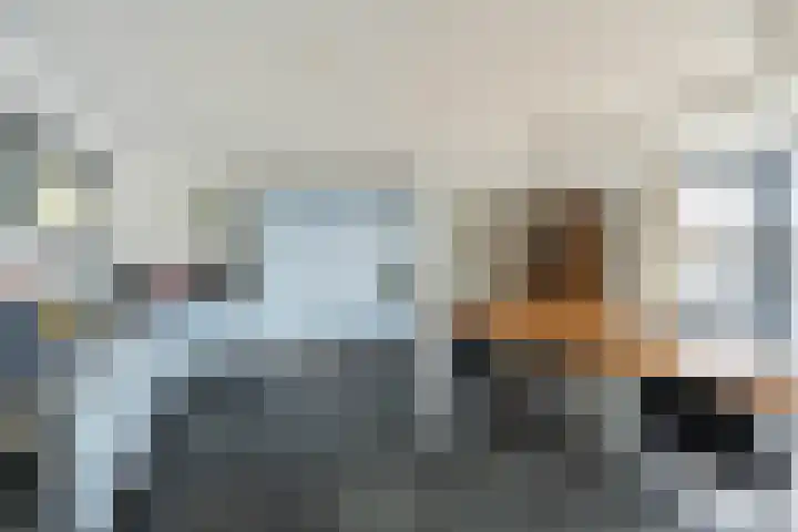 Jaagpad 26 Amsterdam thumbnail 13