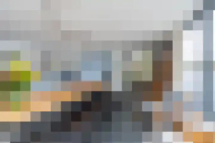 Jaagpad 26 Amsterdam thumbnail 14