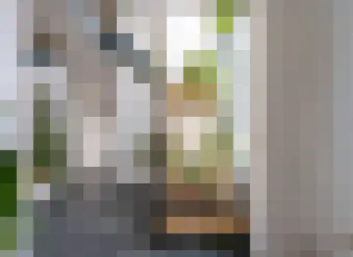 Jaagpad 26 Amsterdam thumbnail 16