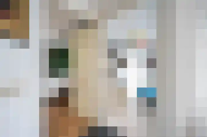 Jaagpad 26 Amsterdam thumbnail 19